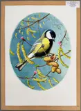 Great Tit by Robin Reckitt, watercolour, offered Aug 2026