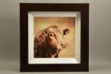 A head and neck study of a bull by Toni Hargreaves, oil on canvas, offered Apr 2022