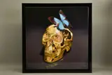 Butterfly kiss by Rory Hancock, print, sold Apr 2022