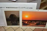 Rhino beware by David Shepherd, print, sold Mar 2022