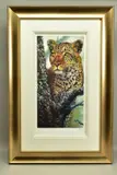 Alert for prey by Rolf Harris, print, sold Mar 2022