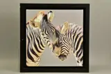 Tender touch by Darryn Eggleton, print, sold Feb 2022