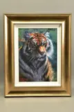 Tiger in the sun by Rolf Harris, print, sold Jan 2022