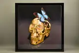 Butterfly kiss by Rory Hancock, print, sold Jan 2022