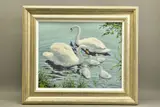 Swans and cygnets by Fred Aris, oil on canvas board, sold Dec 2021