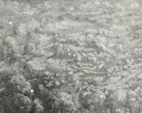 Landscape with trees under grey clouds Signed and dated GNCrowley/2001 by Graham Crowley, Oil on canvas, offered Dec 2021