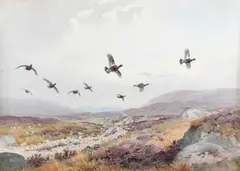 Grouse in flight over heather Signed JCHarrison by John Cyril Harrison, Watercolour, sold Dec 2021