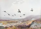 Grouse in flight over heather Signed JCHarrison by John Cyril Harrison, Watercolour, sold Dec 2021