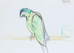 Study of a macaw Signed and inscribed John Bratby/Maquaw III/To Patti by John Bratby, Pencil and pastel, sold Dec 2021