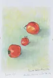 Fruit and Vegetables from an Indian Market by Norman Douglas Hutchinson, pencil, offered Dec 2021