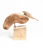 Grounded Rootler 2008 driftwood sculpture on a wooden plinth by Sid Burnard, 2008, sculpture, sold Aug 2021