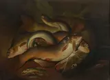 Eel by Edward Coleman, Oil on panel, sold Aug 2021