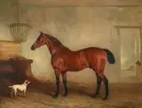A bay hunter with a dog in a loose box by John Ferneley Snr., Oil on canvas, sold Aug 2021