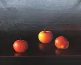 Untitled by Luciano Guarnieri, Oil on canvas, sold Apr 2020