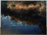 Ponds Edge by David T. Kessler, Oil on wood, sold Sep 2020