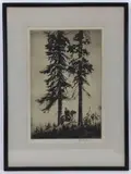 Lone Pines by Ivan Dmitri, Etching, sold Oct 2021