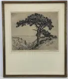 Torrey Pines by Frederick Goodrich Robbins, Etching, sold Oct 2021