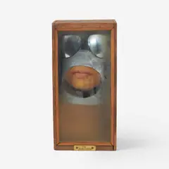 The Scopic Driver by Francis Glebas, 1984, mixed media box construction, sold Nov 2020