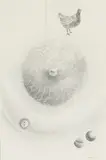 Strange Fruit by Paul Waldman, 1963, graphite on paper, sold Nov 2020