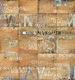 Between Echo And Hope by Imants Tillers, 2002, synthetic polymer paint and gouache on 24 canvas boards, sold Nov 2019