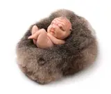 The Offering by Patricia Piccinini, 2009, silicon, fiberglass, steel, possum fur, sold Aug 2019