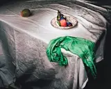 Lorikeet With Green Cloth by Marian Drew, 2008 – 9, (FROM ‘AUSTRALIANA / STILL LIFE’ SERIES) digital print and archival pigment on Hahnemühle paper, sold Aug 2019