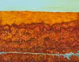 Flooded River Passing The Simpson Desert by John Olsen, 2007, oil on canvas, sold Aug 2019