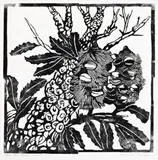 Banksia And Trunk by Margaret Preston, c.1935, woodcut, sold Aug 2019
