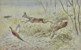 Lièvre, faisant et chevreuils sortant du bois by Édouard Paul Mérite, Aquarelle, sold Oct 2023