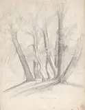 Bosquet d'arbres à Ariccia by Louis-Nicolas Cabat, Crayon noir, estompe, sold Feb 2022