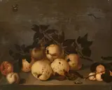 Coings, poires, pommes et abricots, libellule, papillon et lézard sur un entablement by Bartholomeus Assteyn, 1648, Panneau de chêne, parqueté, sold Nov 2024