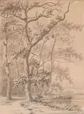 Paysage fluvial arboré by Johan Christiaan Willem Safft, Lavis gris et brun sur traits de crayon noir, sold Oct 2024