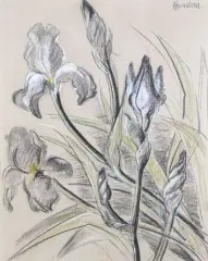 Les Iris by Rudolf Kundera, Pastel, fusain et rehauts de gouache, sold Nov 2024