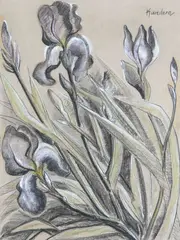 Les grands Iris by Rudolf Kundera, Pastel, fusain et rehauts de gouache, sold Nov 2024