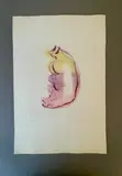 Sans titre ou Grands torses de femmes, (état unique by Jean Fautrier, Eau-forte et aquatinte en couleur, sold Nov 2024