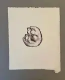 Sans titre ou Petit torse violet by Jean Fautrier, 1947, Eau-forte et aquatinte, sold Nov 2024