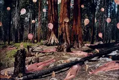 The Quiet Forest by Marnie Weber, 2000, Épreuve chromogénique avec collage (pièce unique), contrecollée sur carton, sold Jul 2023