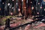 The Quiet Forest by Marnie Weber, 2000, Épreuve chromogénique avec collage (pièce unique), contrecollée sur carton, sold Jul 2023