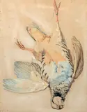 Perdrix by Jean-Baptiste Huet, Pastel, sold Jun 2023