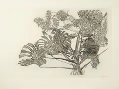Philodendrons, gris by Sam Szafran, 1995, Aquatinte sur papier, sold Apr 2024