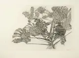 Philodendrons, gris by Sam Szafran, 1995, Aquatinte sur papier, sold Apr 2024