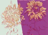 Kiku (from the Andy Warhol Exhibition Catalogue) by Andy Warhol, screenprint on paper, sold Oct 2023