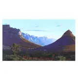 Signal Hill, Cape Town Landscape by Andrew Cooper, Acrylic on canvas, sold Sep 2025