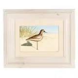 A 'Verity' Black Bellied Plover by Joe Seme, acrylic on board, sold Aug 2025