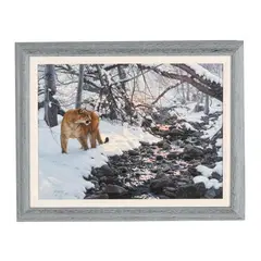 Mountain Lion in Snow by Tim Cox, Oil on board, sold Aug 2025