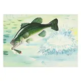 Jumping Largemouth Bass by Duane Raver Jr., Mixed media on paper, sold Aug 2025