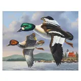 Goldeneye Over Eagle Point Lighthouse by Guy Crittenden, Oil on masonite, sold Aug 2025