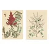 Ichneumon Fly with Smooth Sumac / The Green Lizard of Jamaica with Logwood (Two Works) by Mark Catesby, Each a hand-colored engraving, sold Aug 2025