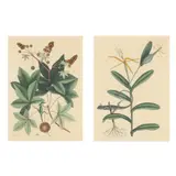 The Lyon Lizard / Green Lizard of Carolina and Sweetgum Tree (Two Works) by Mark Catesby, Each a hand-colored engraving, sold Aug 2025