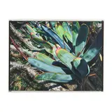 Aloe Fanfare #3 by Claudia Gurwitz, Oil on canvas, sold Aug 2025